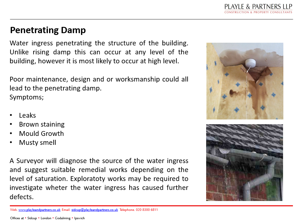 Dampness in Buildings Playle and Partners
